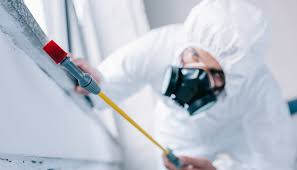 Best Commercial Pest Control  in Bellemont, AZ